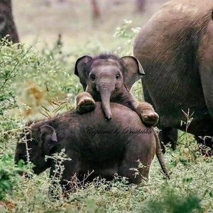 Meet your Posher, Jackie